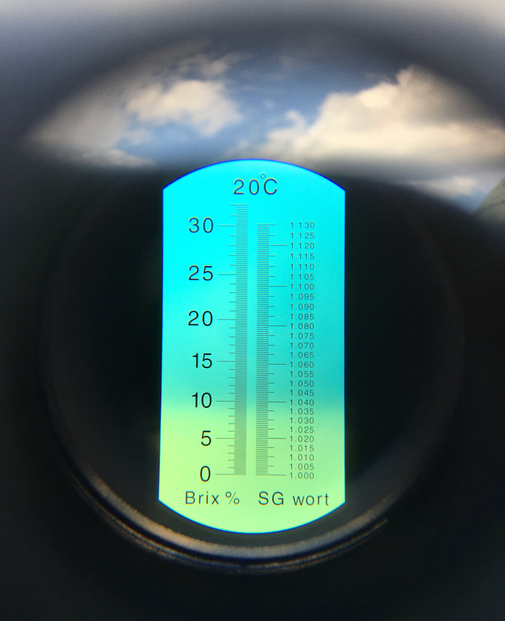 template filler image