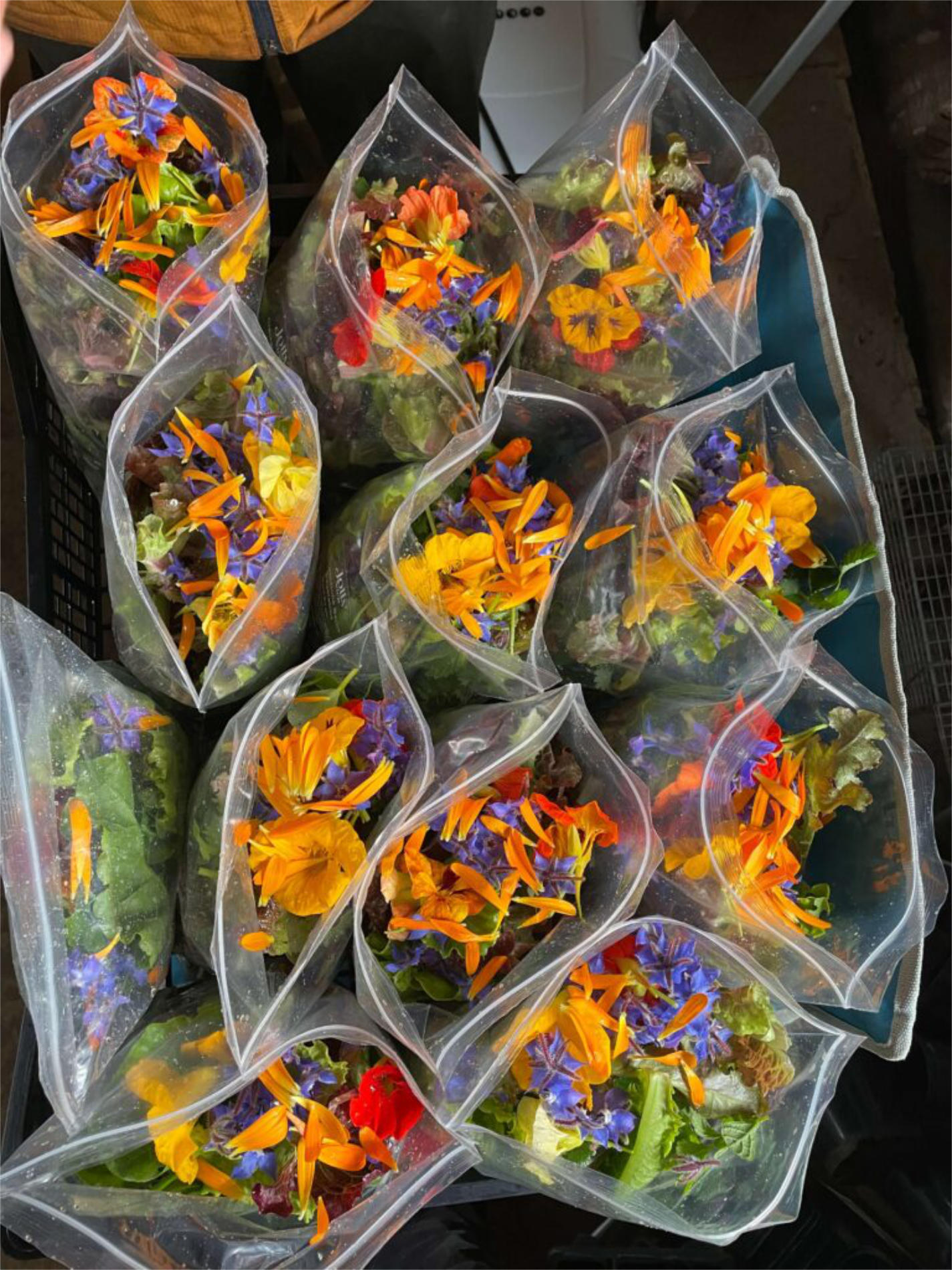 Wholesalers image of bagged salads