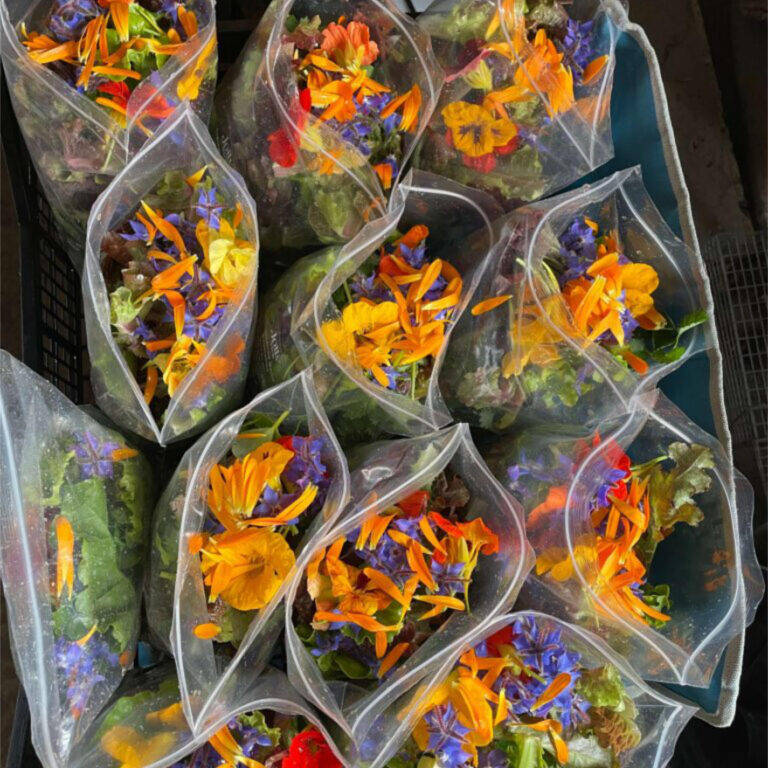 Wholesalers image of bagged salads