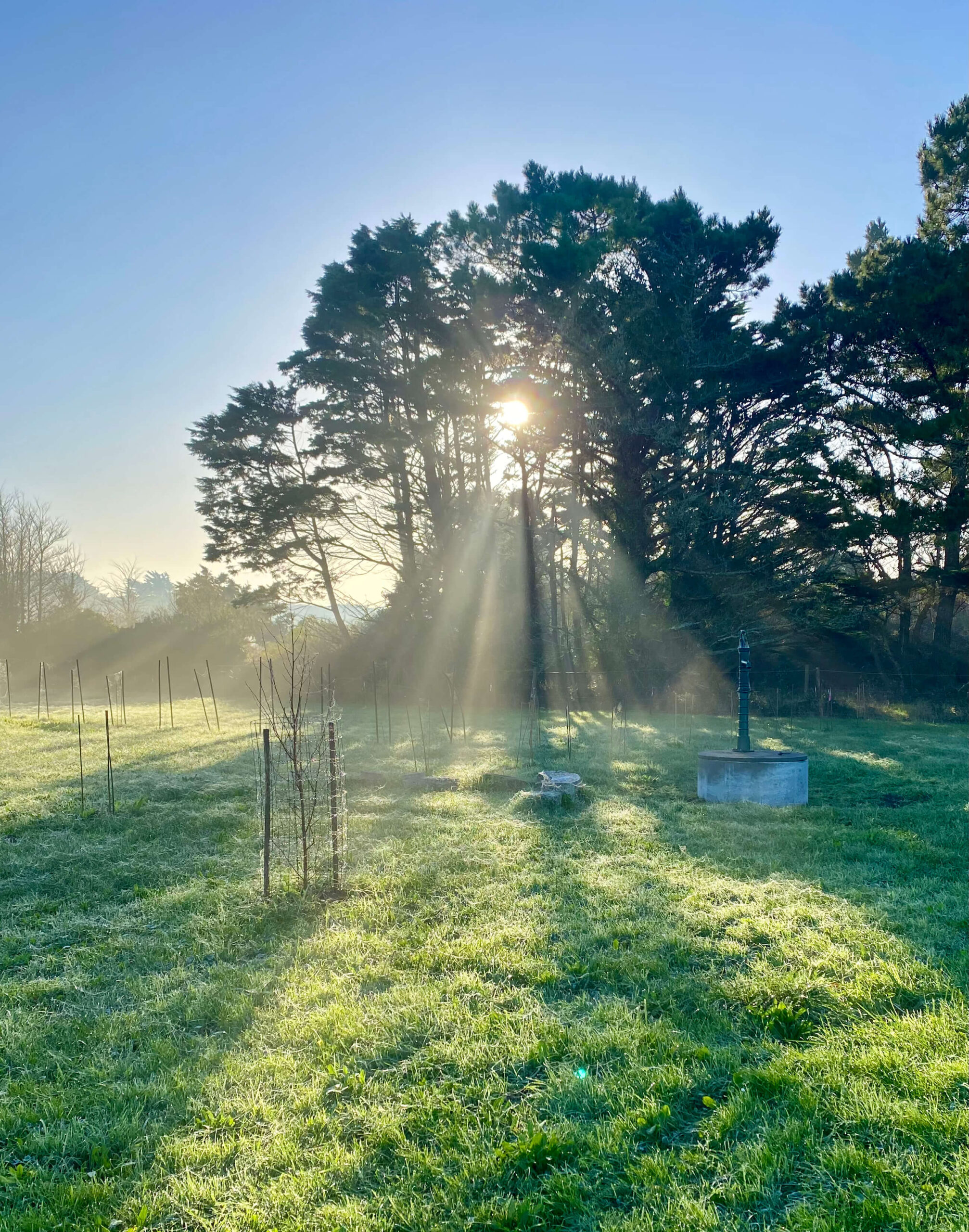 template filler image